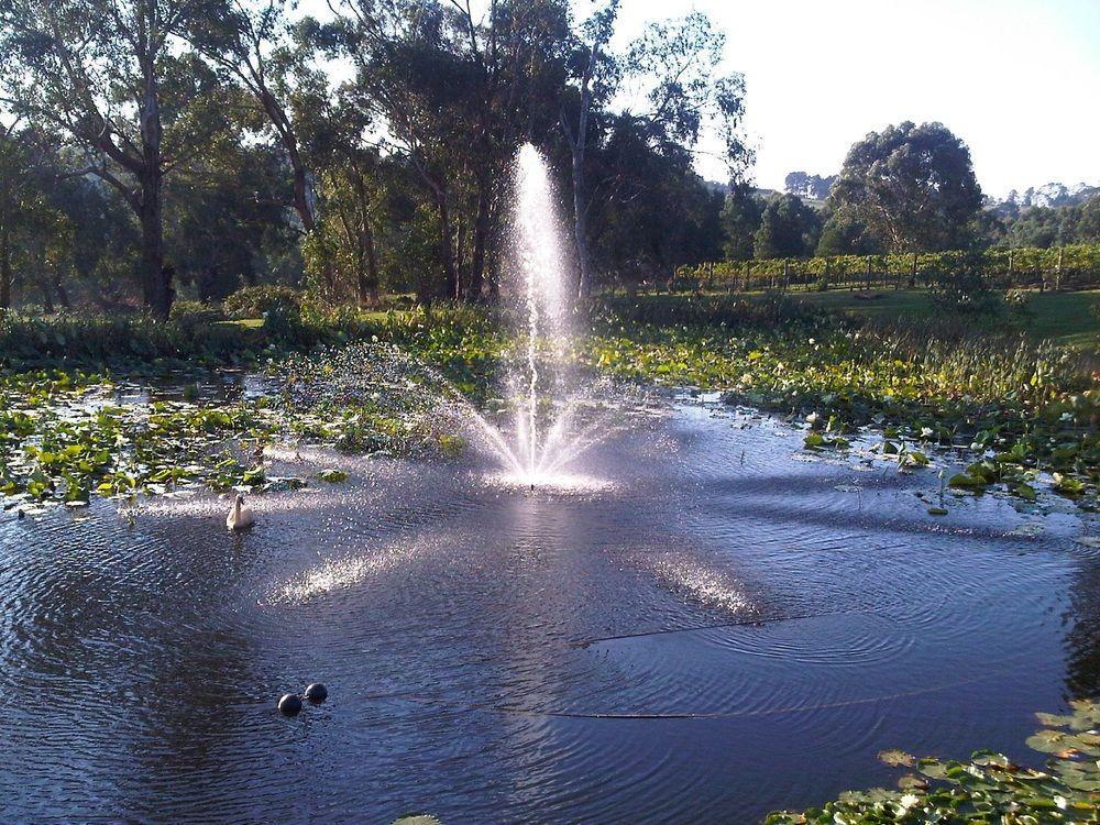 Wild Cattle Creek Estate Panzió Wandin Yallock Kültér fotó